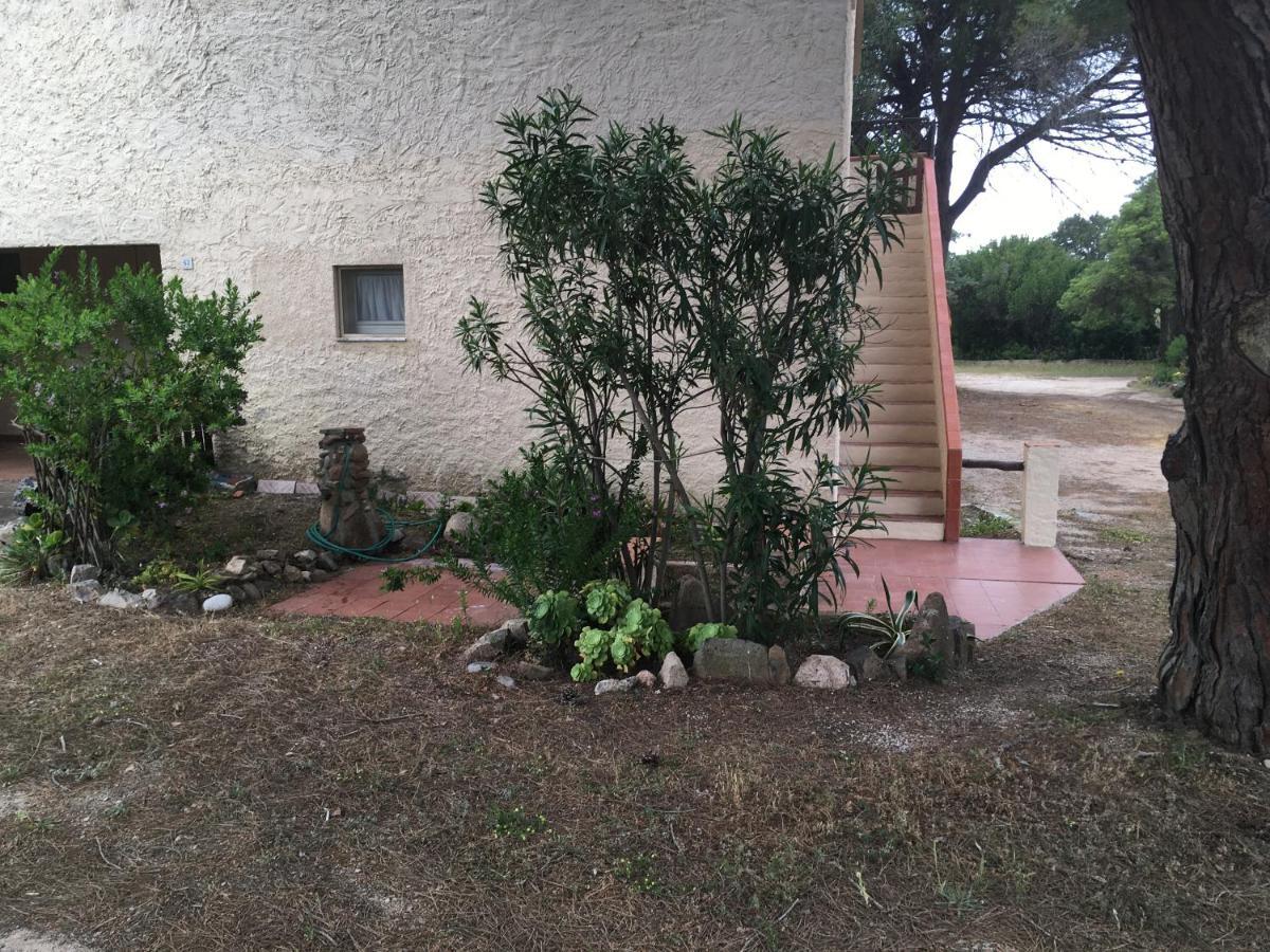 Monolocale A Rena Majore Di Gallura المظهر الخارجي الصورة